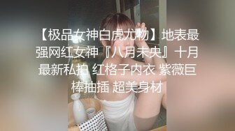 【极品女神白虎尤物】地表最强网红女神『八月未央』十月最新私拍 红格子内衣 紫薇巨棒抽插 超美身材