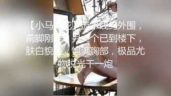 【小马寻花】流水线约外围，前脚刚走，另一个已到楼下，肤白貌美，饱满胸部，极品尤物脱光干一炮