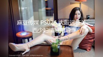 麻豆传媒 PS026 大阪远征关西少妇情感指导