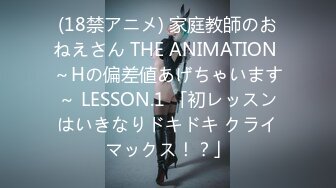 (18禁アニメ) 家庭教師のおねえさん THE ANIMATION ～Hの偏差値あげちゃいます～ LESSON.1 「初レッスンはいきなりドキドキ クライマックス！？」