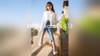 韩国bj korean 433